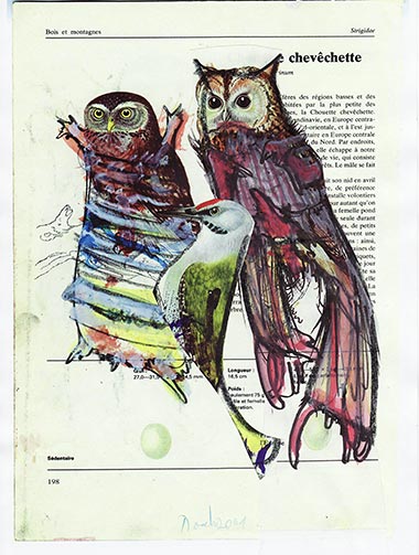 Birds of Auschwitz