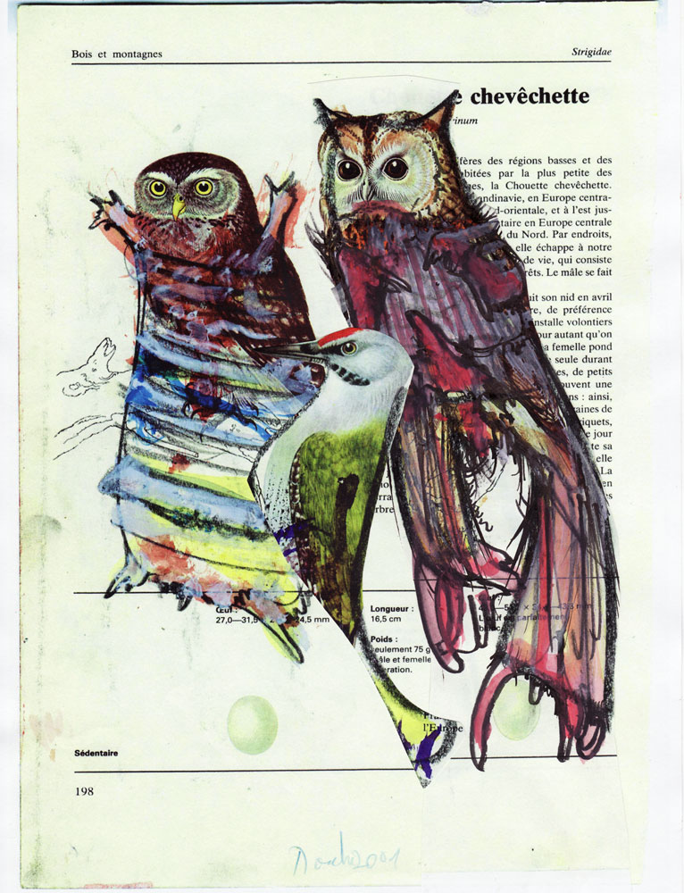 Oiseau d&rsquo;Auschwitz