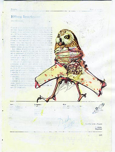 Birds of Auschwitz