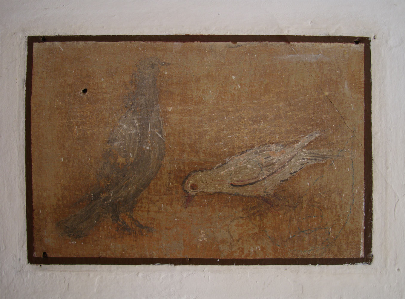 Les oiseaux de Cetinje