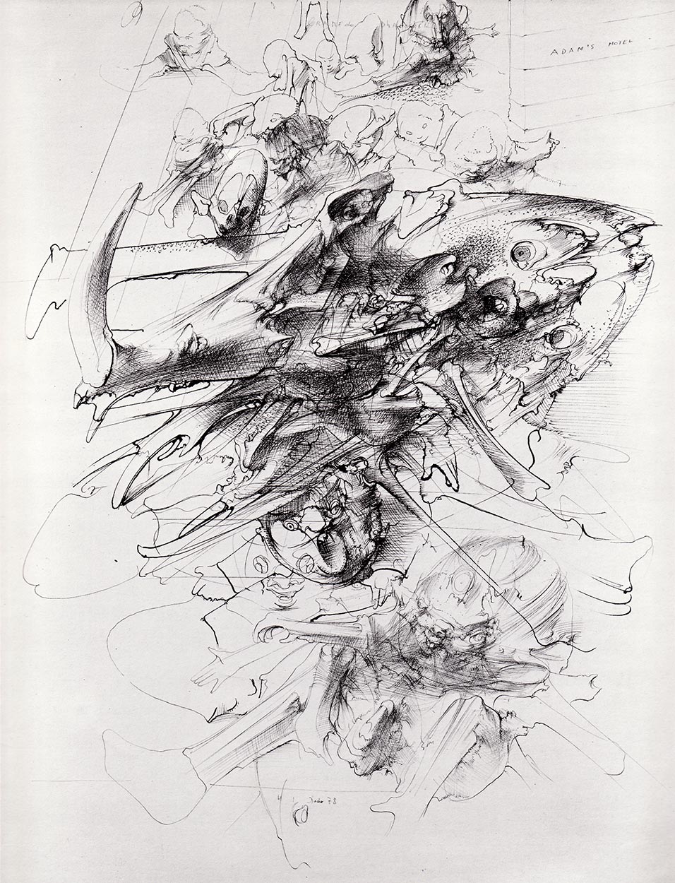 Crâne de phacochère, 1978