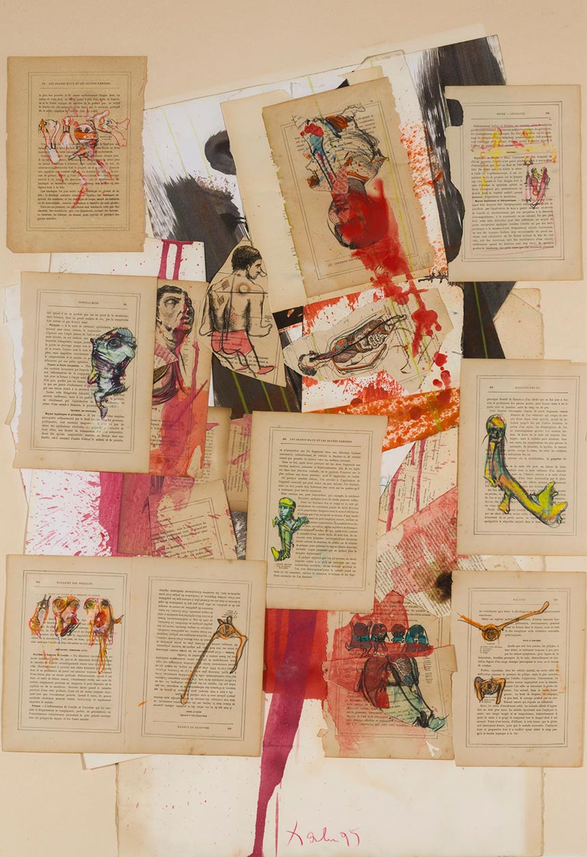 Les Grands Maux et les Grands Rem&egrave;des, 1995