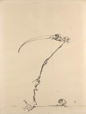 Ružičasti Flamingo, 1968