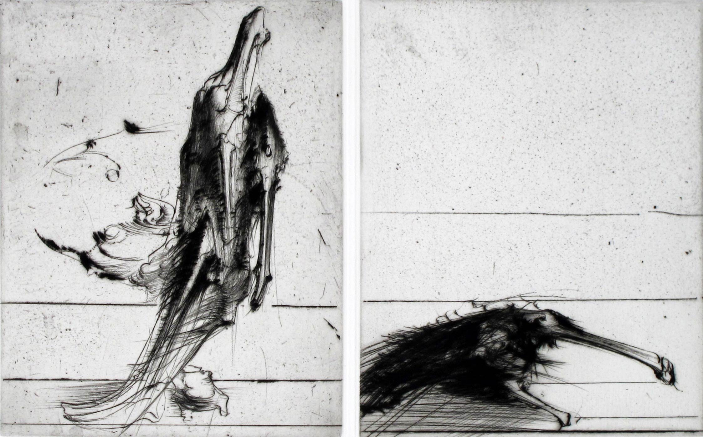 Dado : Gravure sans titre, 1988 (diptyque)