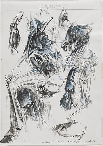 Dessin pour le catalogue de l’exposition « Dado, l’exaspération du trait », 1981