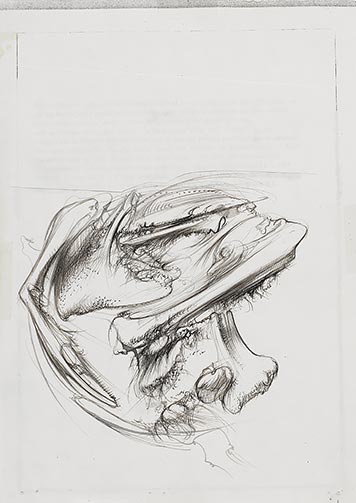 Dessin pour le catalogue de l’exposition « Dado, l’exaspération du trait », 1981