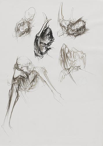 Dessin pour le catalogue de l’exposition « Dado, l’exaspération du trait », 1981