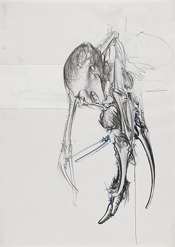 Dessin pour le catalogue de l’exposition « Dado, l’exaspération du trait », 1981