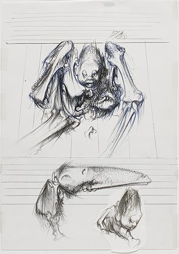 Dessin pour le catalogue de l’exposition « Dado, l’exaspération du trait », 1981