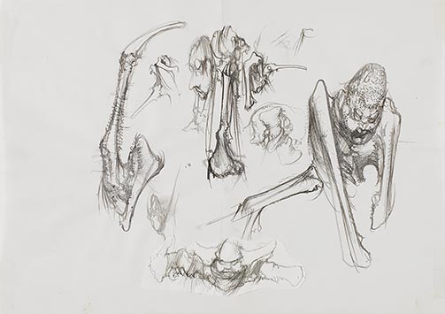 Dessin pour le catalogue de l’exposition « Dado, l’exaspération du trait », 1981