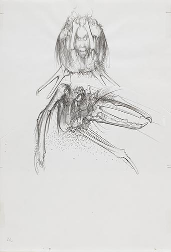 Dessin pour le catalogue de l’exposition « Dado, l’exaspération du trait », 1981