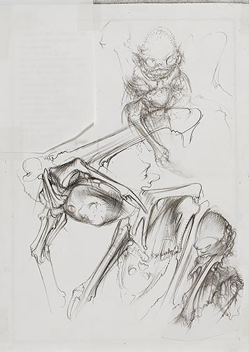 Dessin pour le catalogue de l’exposition « Dado, l’exaspération du trait », 1981