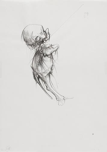 Dessin pour le catalogue de l’exposition « Dado, l’exaspération du trait », 1981