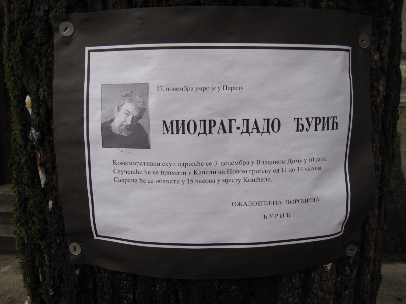 Death announcement pinned on a tree, in front of the house where Dado was born in Cetinje