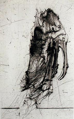 Gravure de Dado : Buffon, 1986