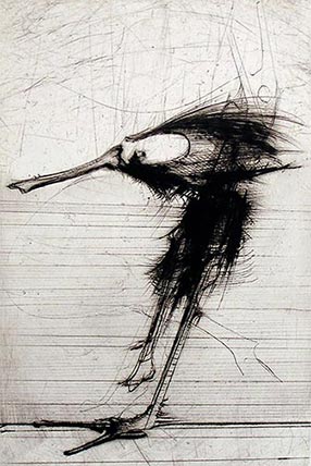 Gravure de Dado : Buffon, 1986