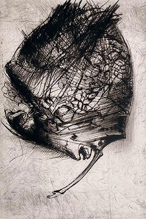 Gravure de Dado : Buffon, 1986