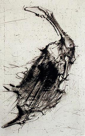 Gravure de Dado : Buffon, 1986