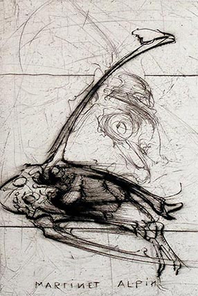 Gravure de Dado : Buffon, 1986