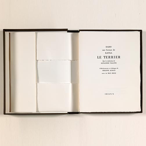 Le Terrier, 1985