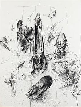 Famille des Agélénidés