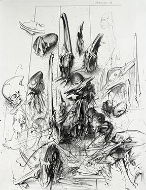 Famille des Agélénidés