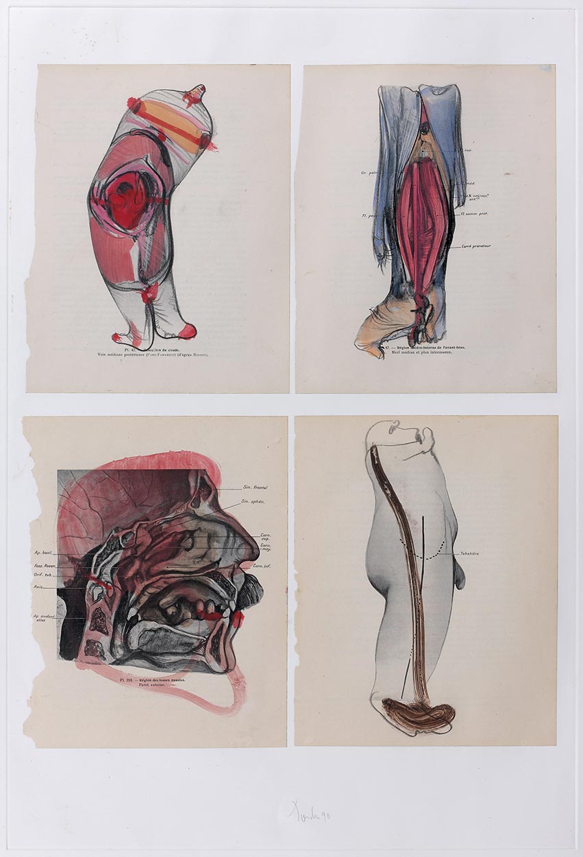 Anatomy, 1990