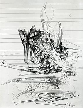 Coléoptères de Colombie