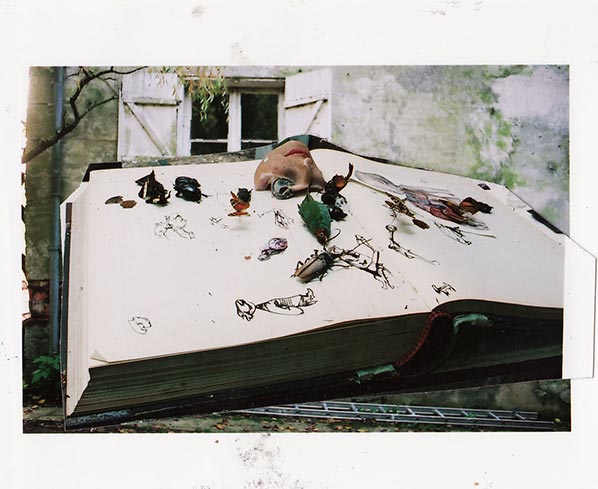 Dado (Miodrag Djuric) : collage