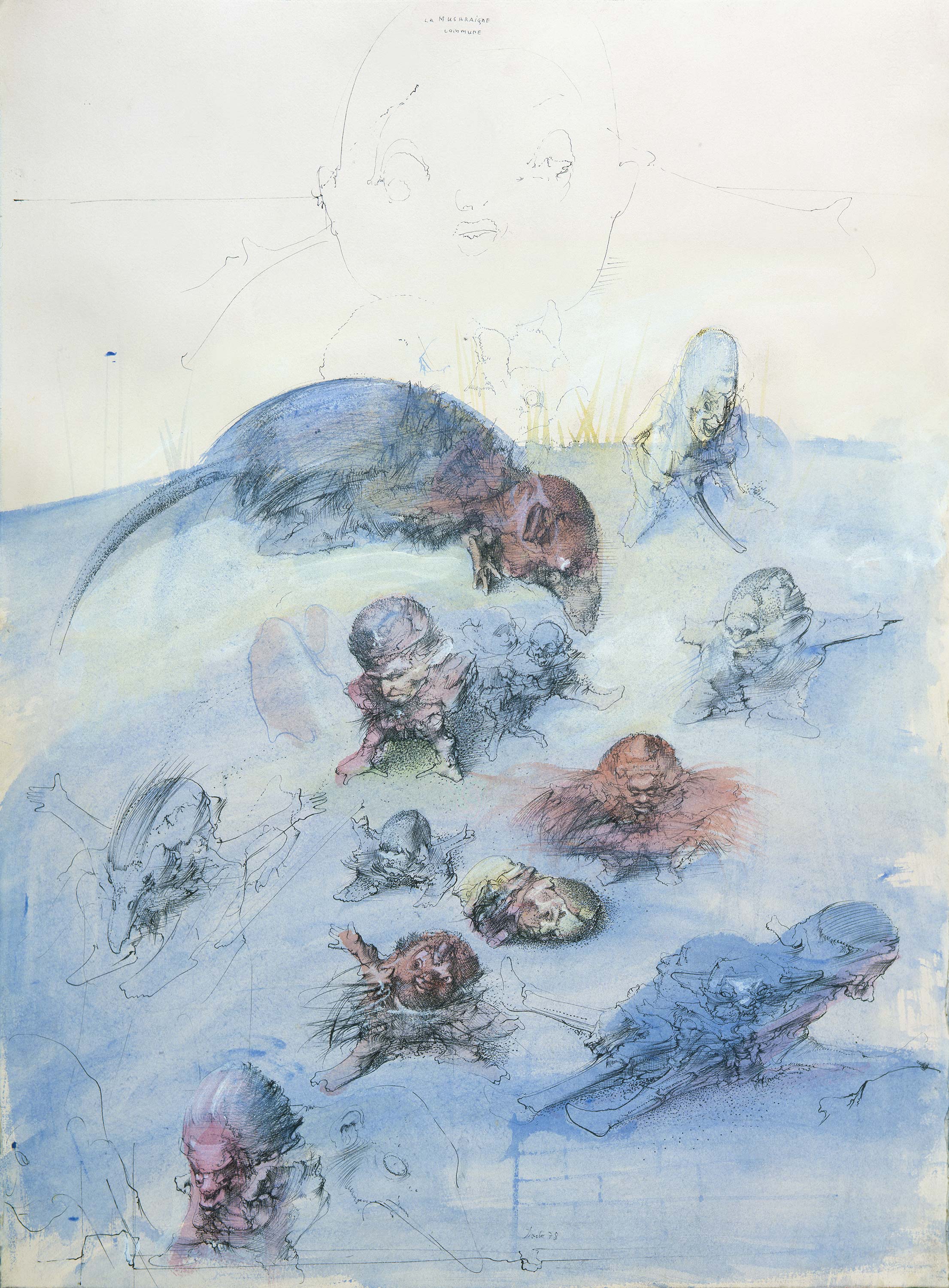 Šumska rovčica, 1978 (prvobitno stanje)