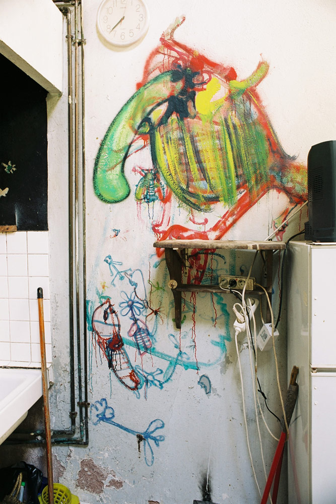 Dado : peintures murales d’Hérouval – Cuisine – Mur est