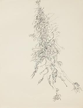 Untitled, circa 1965