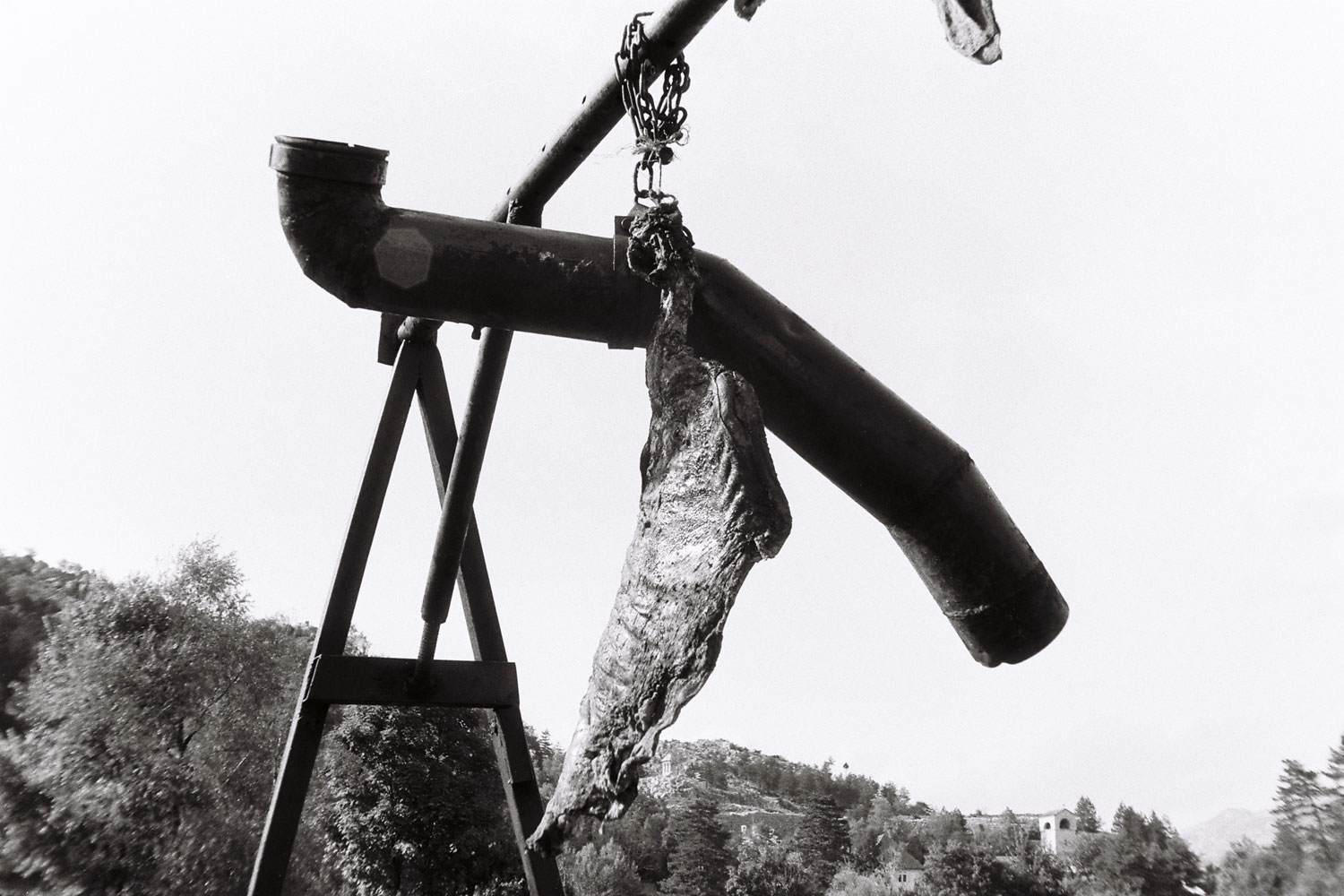 Dado, Biennale de Cetinje, 1991