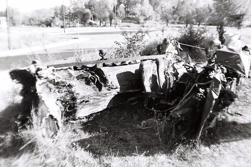 Dado, Biennale de Cetinje, 1991