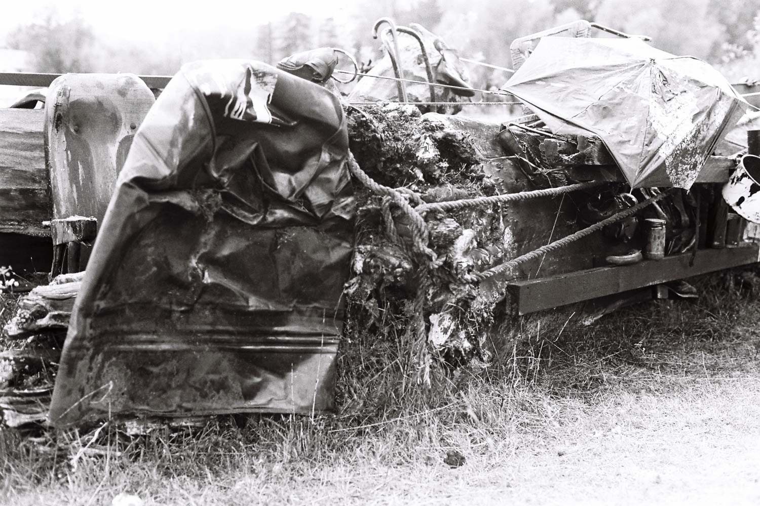 Dado, Biennale de Cetinje, 1991