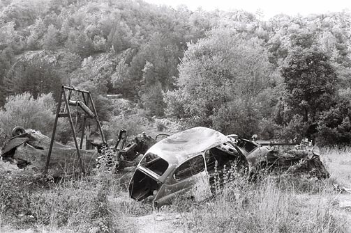 Dado, Prvi Cetinjski bijenale, 1991.