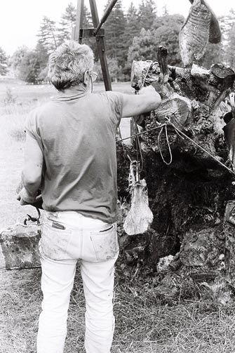 Dado, Biennale de Cetinje, 1991