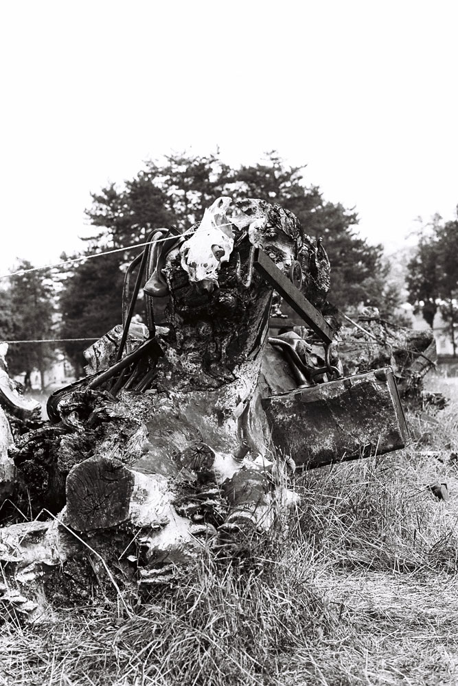 Dado, Biennale de Cetinje, 1991