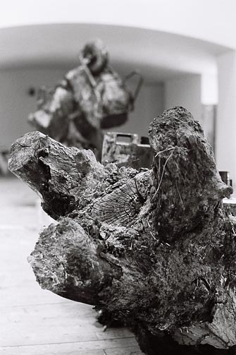 Dado, Biennale de Cetinje, 1991