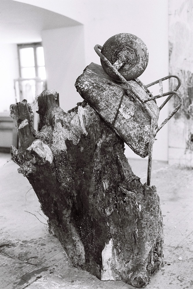 Dado, Biennale de Cetinje, 1991