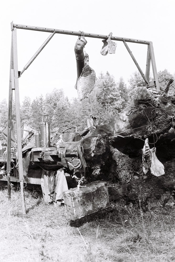 Dado, Biennale de Cetinje, 1991