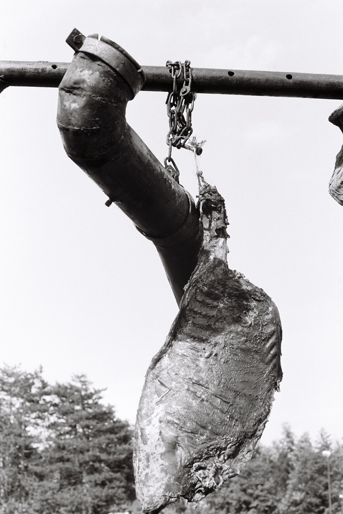 Dado, Biennale de Cetinje, 1991