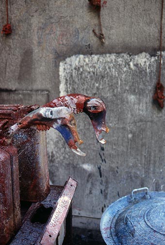 Sculptures dans l’atelier de Dado en 1989