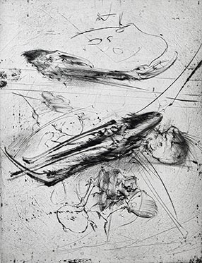 Gravure de Dado : Planche G, 2e état